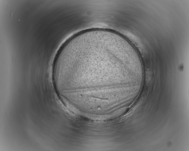 X0000097621326200803211737
