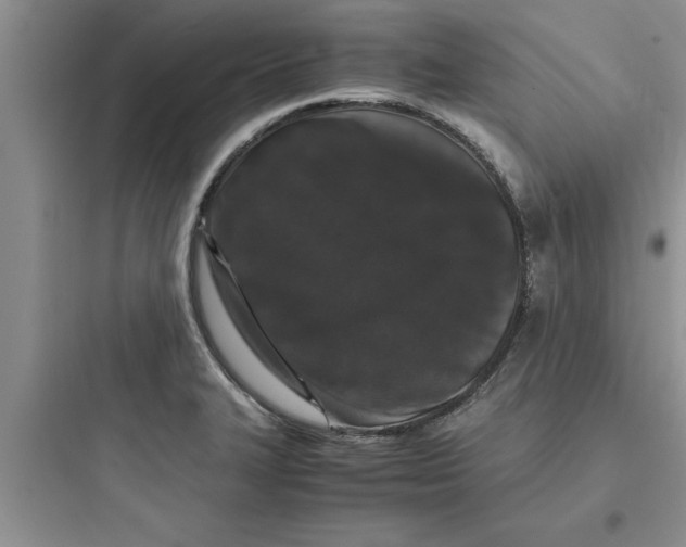 X0000097621327200803211737