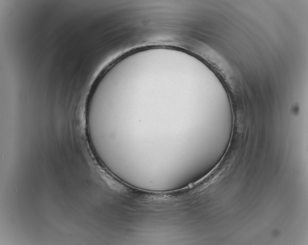 X0000097621328200803211737