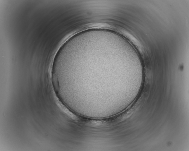 X0000097621330200803211737