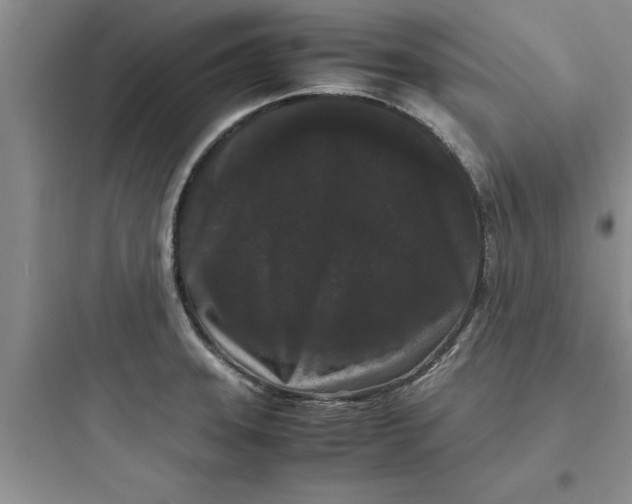 X0000097621331200803211737