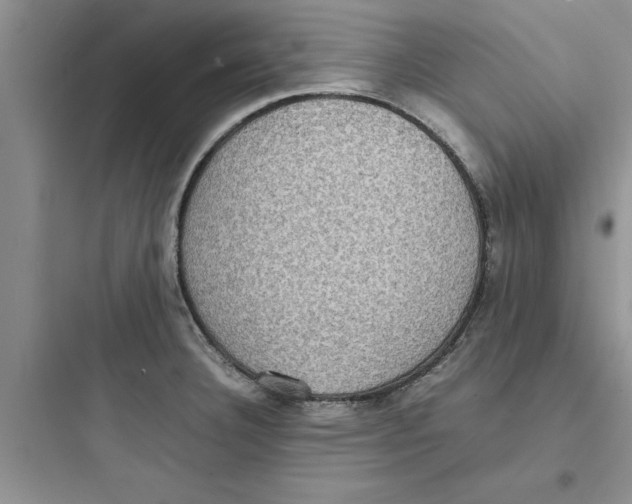 X0000097621332200803211737