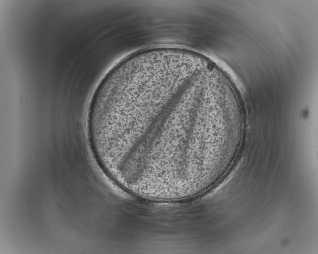 X0000097621333200803211737