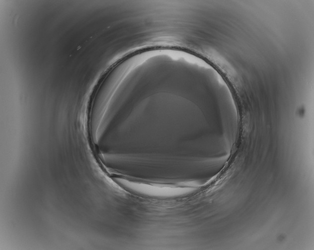X0000097621334200803211737