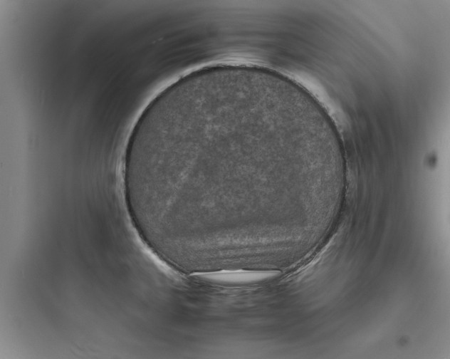 X0000097621335200803211737