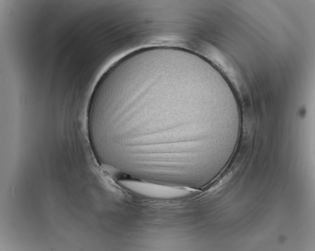 X0000097621336200803211737