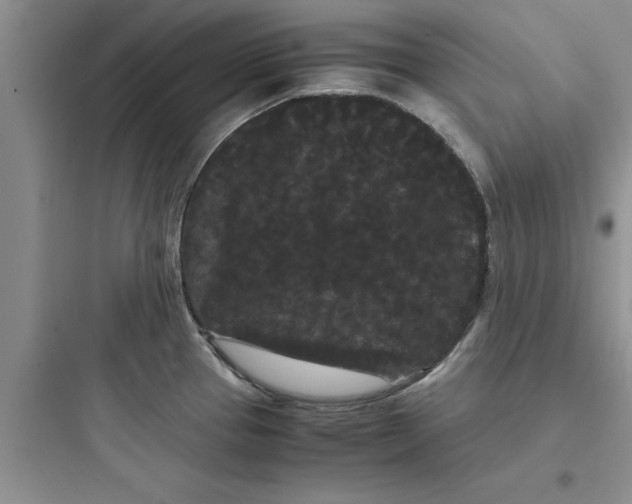 X0000097621337200803211737
