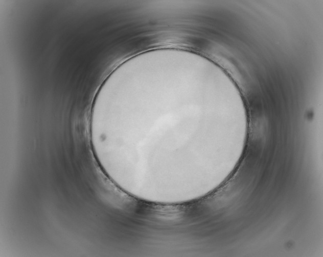 X0000097621338200803211737
