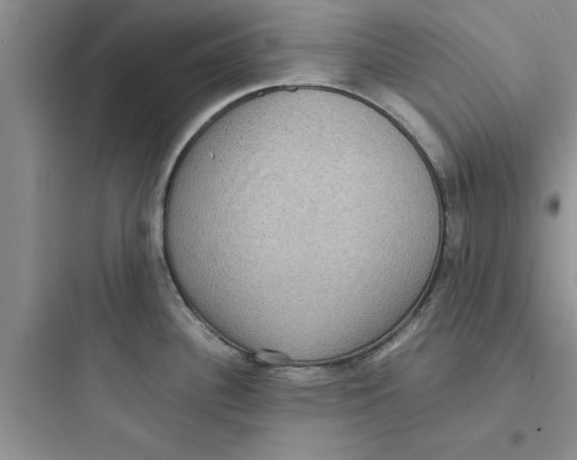 X0000097621340200803211737