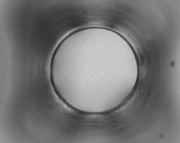 X0000097621341200803211737
