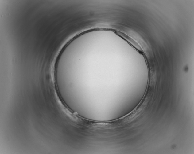 X0000097621342200803211737