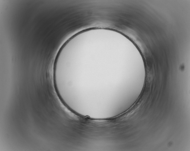 X0000097621343200803211737