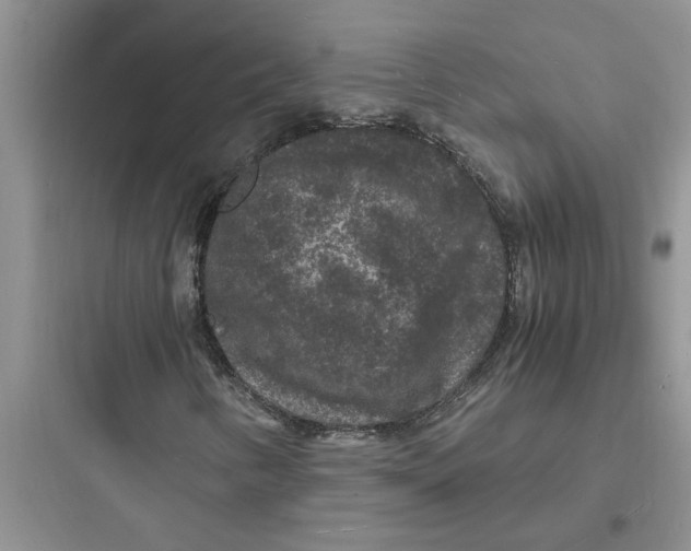 X0000097621346200803211736