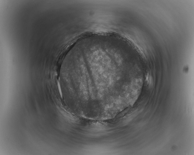 X0000097621348200803211736