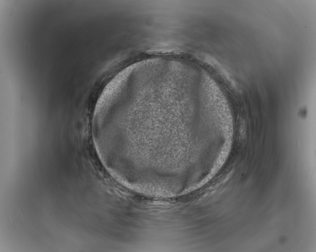 X0000097621350200803211736