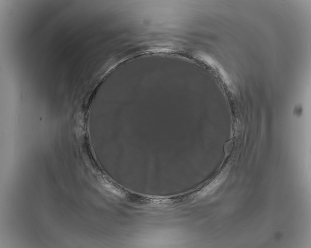 X0000097621353200803211736