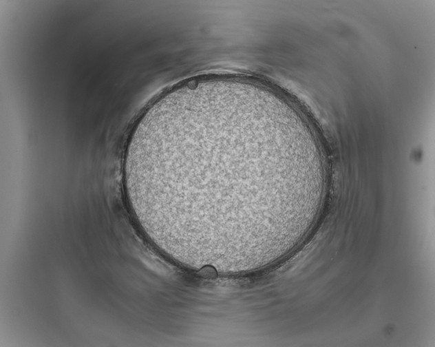 X0000097621355200803211736