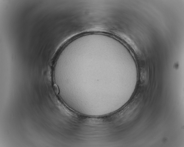 X0000097621356200803211736