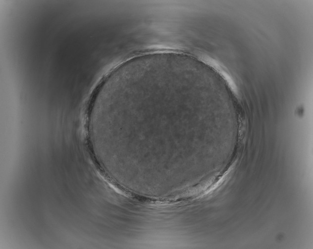 X0000097621357200803211736