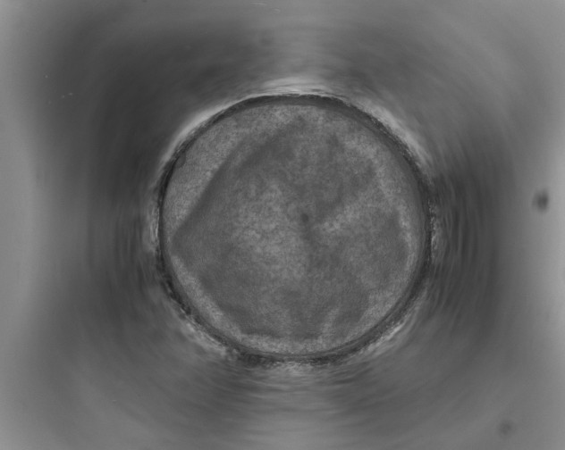 X0000097621358200803211736