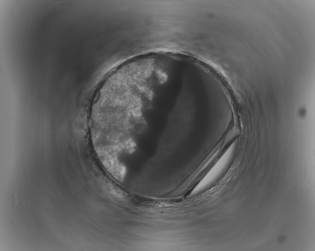 X0000097621359200803211736