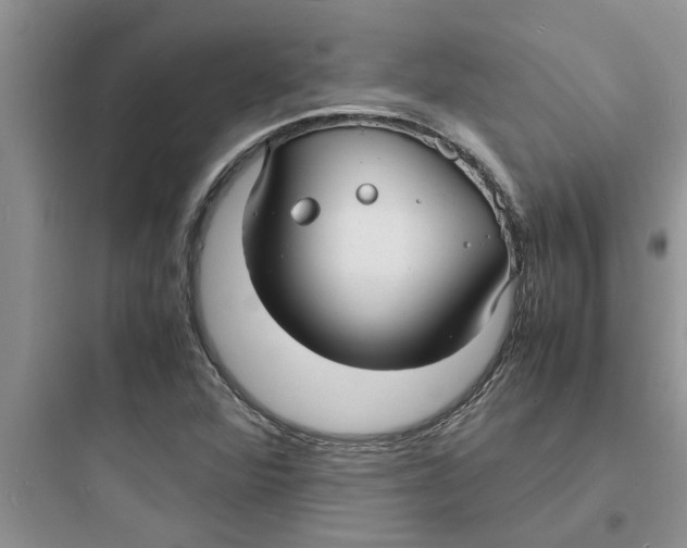 X0000097621360200803211736