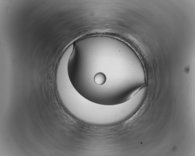 X0000097621361200803211736