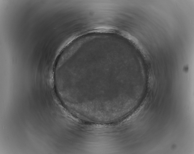 X0000097621362200803211736