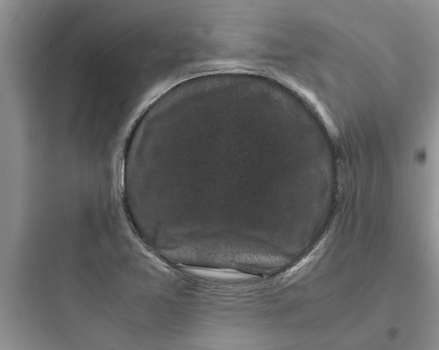 X0000097621365200803211736