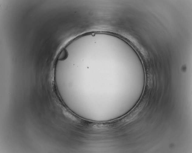 X0000097621366200803211736