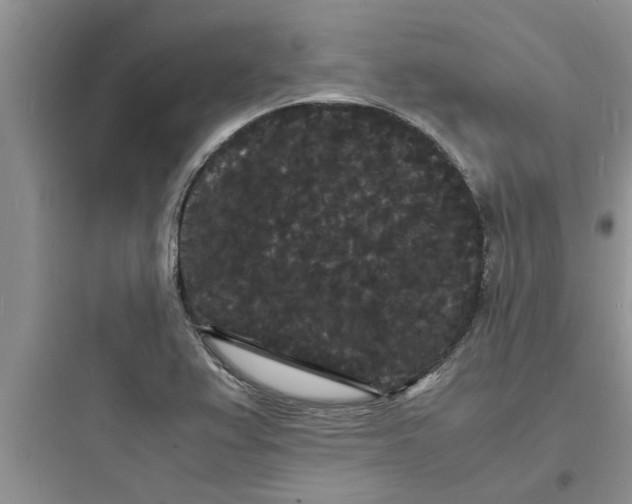 X0000097621367200803211736