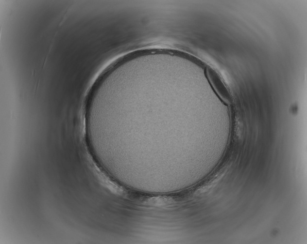 X0000097621368200803211736