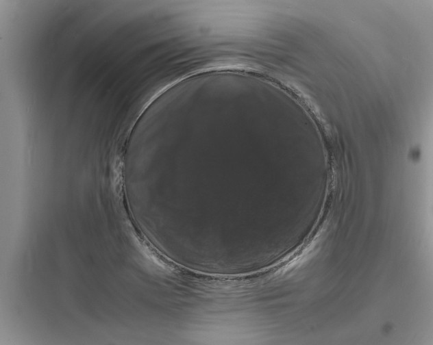 X0000097621369200803211736