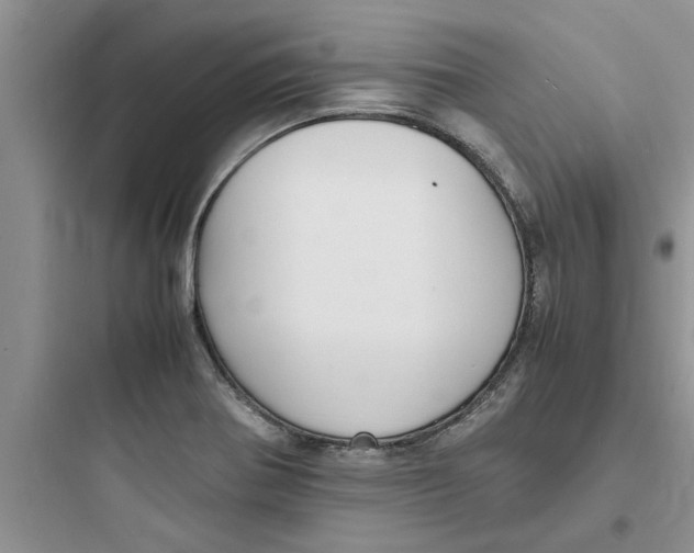 X0000097621370200803211736