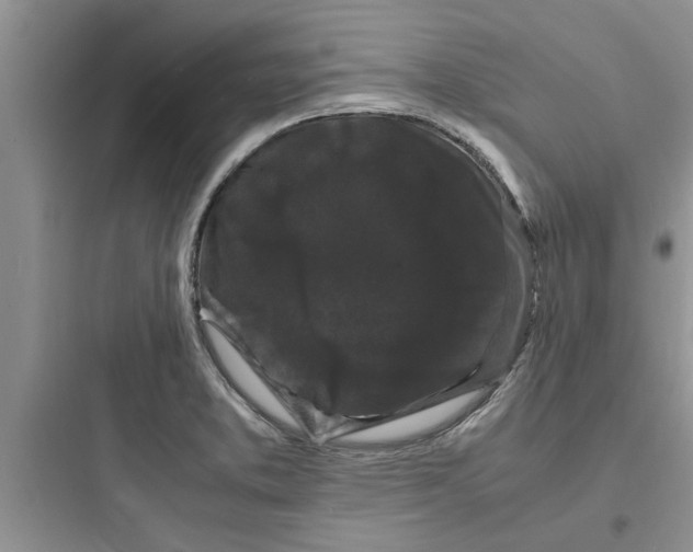 X0000097621373200803211736