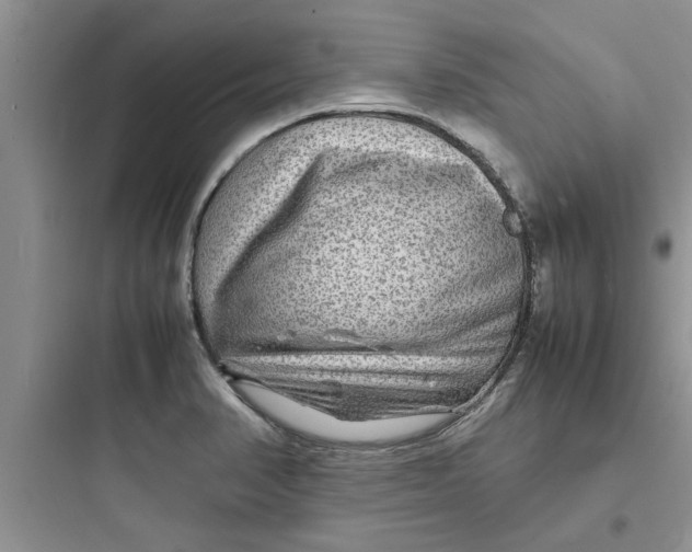 X0000097621374200803211736
