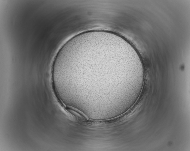 X0000097621375200803211736