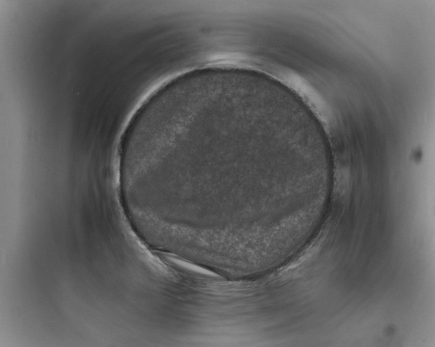 X0000097621376200803211736