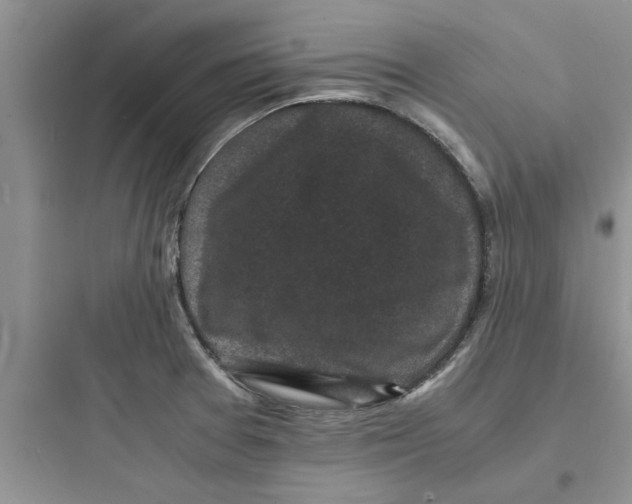 X0000097621377200803211736