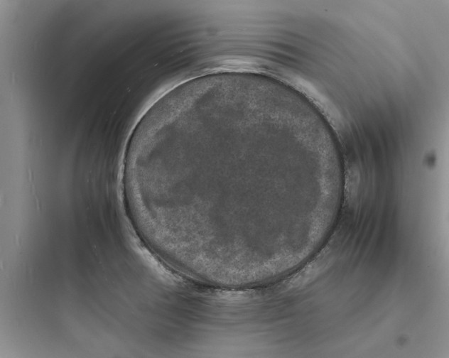 X0000097621378200803211736