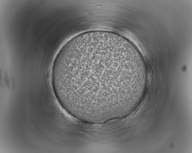 X0000097621379200803211736