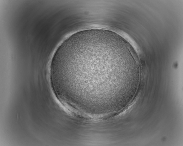 X0000097621381200803211736