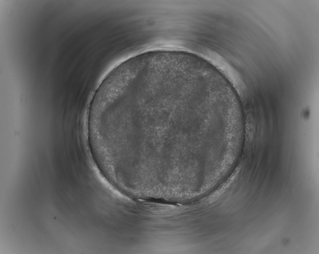 X0000097621382200803211736