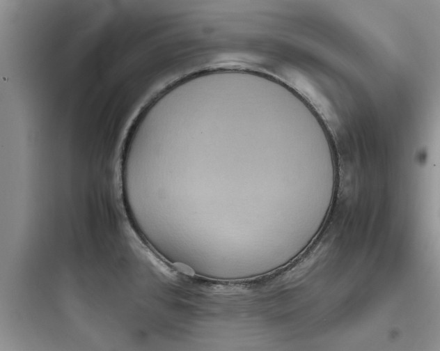 X0000097621384200803211736