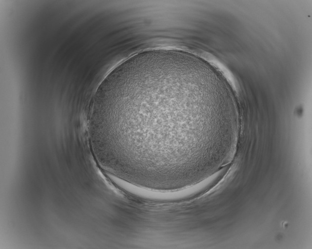 X0000097621385200803211736