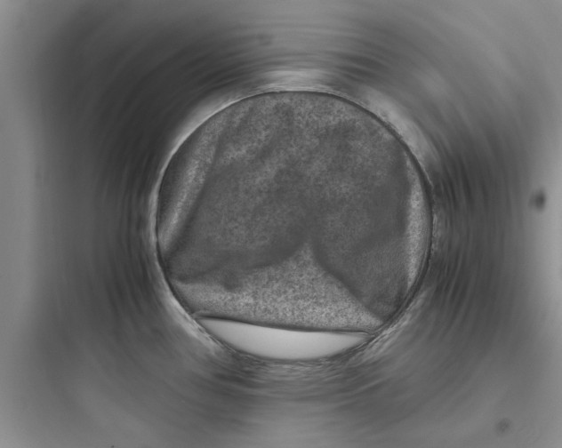 X0000097621386200803211736
