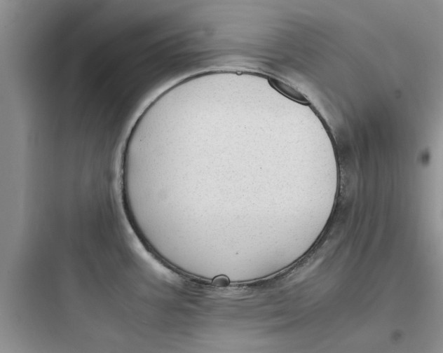 X0000097621387200803211736