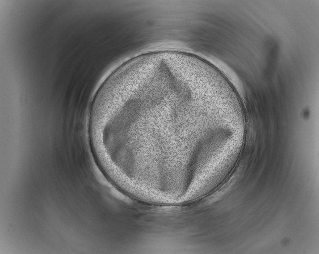 X0000097621390200803211736