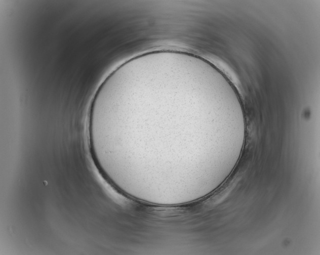 X0000097621391200803211736