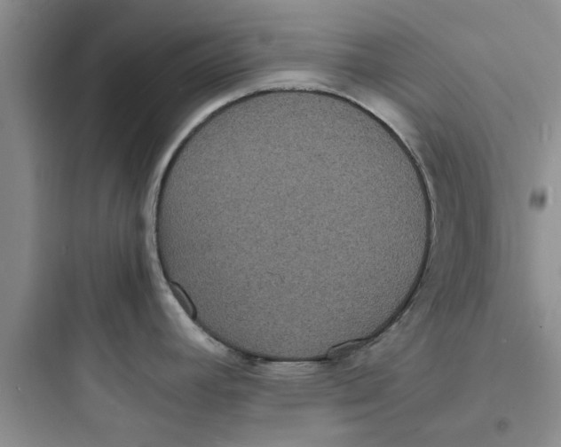 X0000097621392200803211736